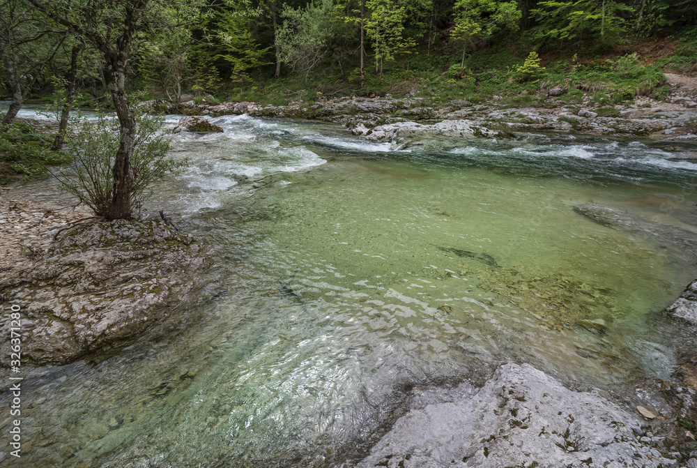 Fototapeta premium Mostnica - Klamm