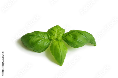Fresh green basil leaf isolated on white background, close up. Basil herb, healthy lifestyle 