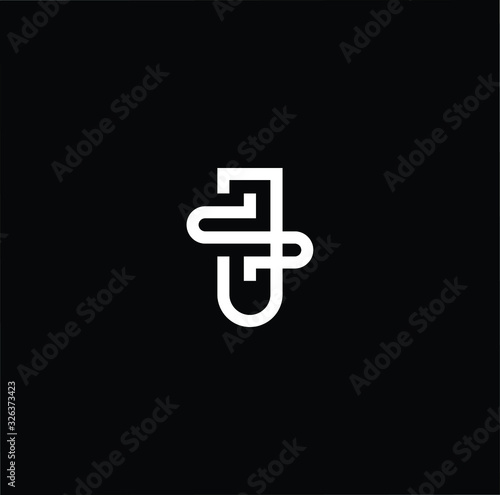 Professional Innovative Initial SJ JS logo. Letter SJ JS Minimal elegant Monogram. Premium Business Artistic Alphabet symbol and sign