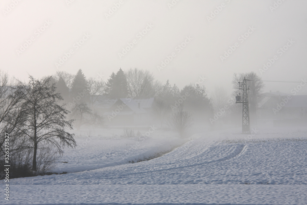 Fototapeta premium Electricity pylon at the edge of the village in winter, snowy foggy rural landscape in the morning light
