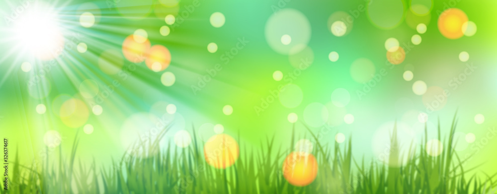 Obraz premium Spring Background