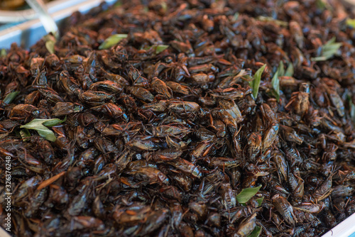 Food made from insects. Fried insects.