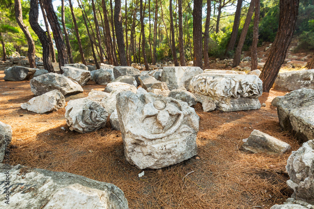 Ruins of the ancient Phaselis city in Antalya province. Turkey Ruins of the ancient Phaselis city in Antalya province. Turkey