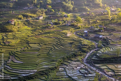 Detalle de los campos de arroz de la zona de Sapa en el norte de vietnam cerca de la frontera con China