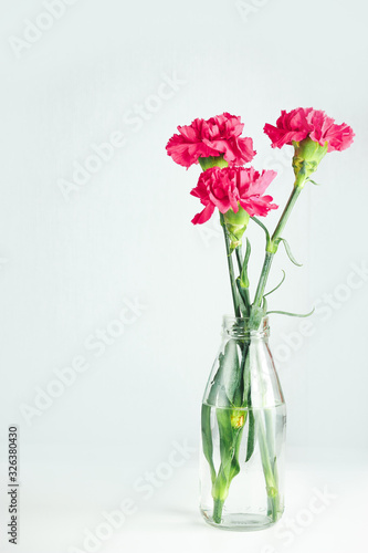 Three pink cloves in a glass vase (bottle) with water on a white table, on a white background. Greeting card for mother's day, international women's day.