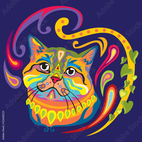 Fototapeta Naklejka Na Ścianę i Meble -  Colorful zentangle cat 7
