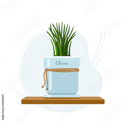 Chives herb on kitchen window sill in mason jar. Chive stems for cooking. Healthy eating, veganism and vegetarianism.