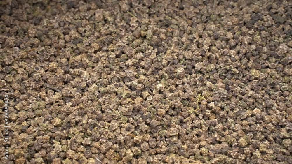 fodder beet seeds in the sack