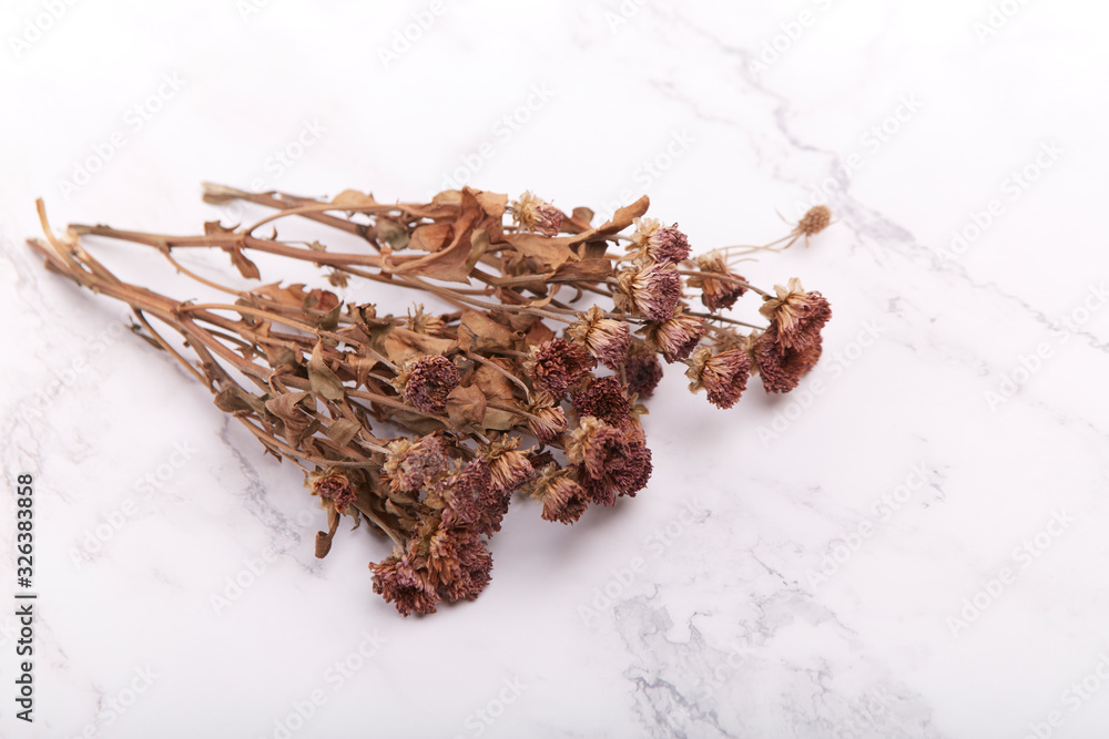 Dried flowers Dried flowers