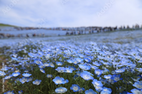 青に染まる風景