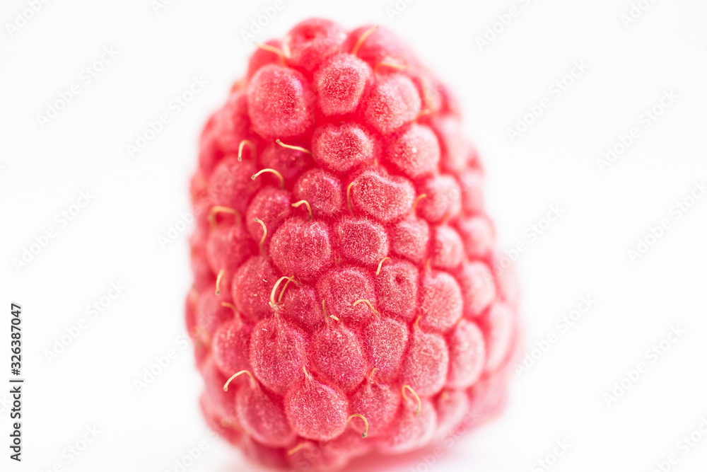Close up raspberry on white background. Close up raspberry on white background.