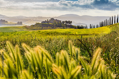 Typisch toskanische Landschaft   Panorama