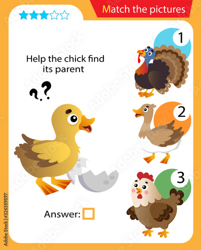 Matching game, education game for children. Puzzle for kids. Match the right object. Help the chick or nestling find its parent.