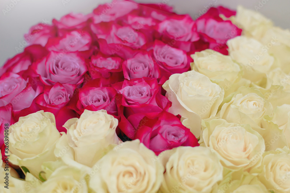 Natural pink and white roses background. Postcard for a holiday. Valentine's day. Mother's Day! Holidays concept. 8. 14. Natural pink and white roses background. Postcard for a holiday. Valentine's day. Mother's Day! Holidays concept. 8. 14.