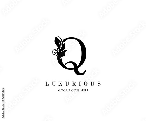 Initial Q letter luxury beauty flourishes ornament monogram logo