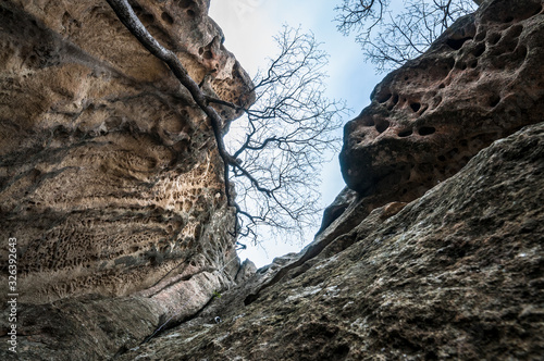 A climber descends into the ravine on the background of leaky rocks, blue sky and branches of trees, view from below from a distance.