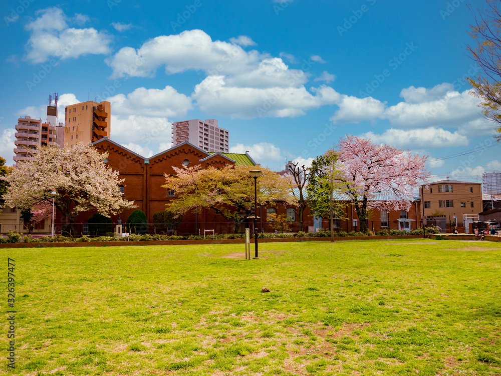 桜とレンガの古い建物の公園