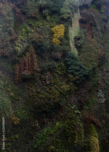 Muro verde, muro vegetal