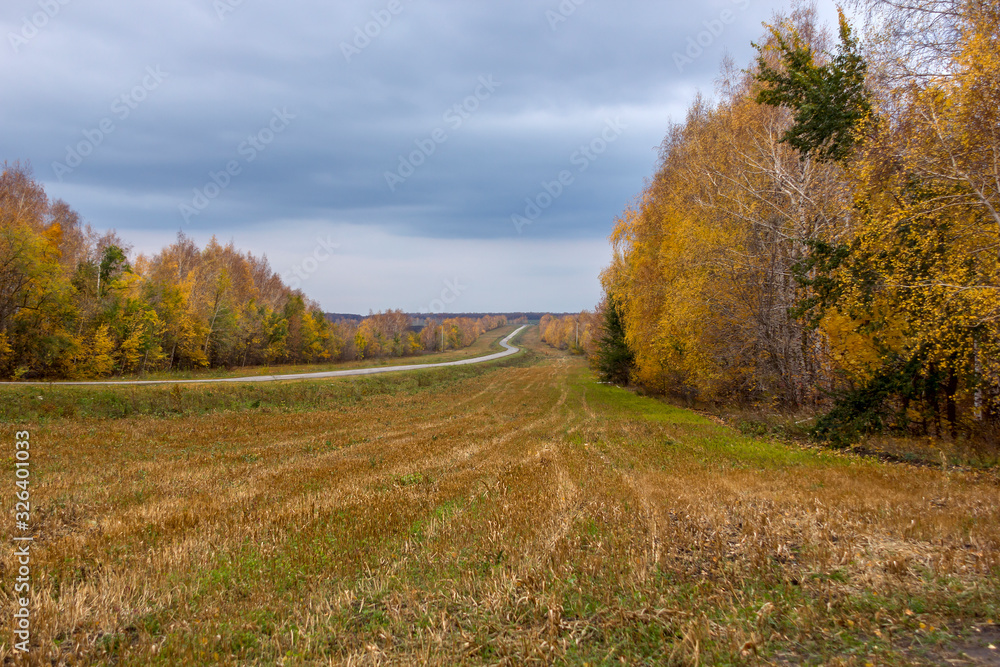 autumn landscape, yellow trees and fields and a road going into perspective against the sky with clouds