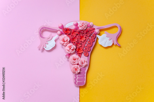 Concept endometriosis. The women's reproductive system, gynecological diseases photo