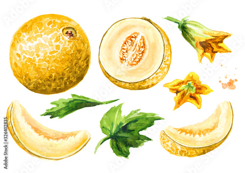 Whole, half and sliced melon with leaves and flowers set. Watercolor hand drawn illustration, isolated on white background