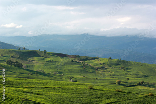 rural landscape green cultivated fields