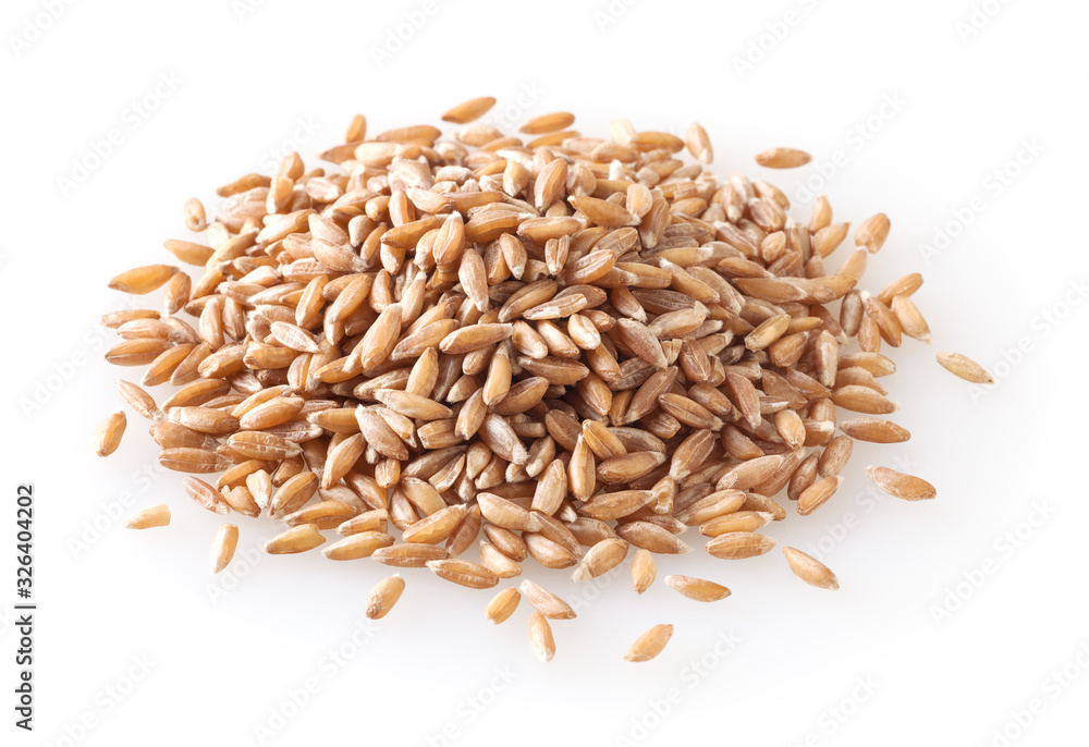 Obraz premium Heap of uncooked dried spelt grains isolated on white background