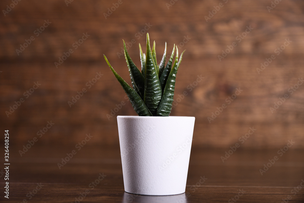 Artificial flowers grass different form in a pot on wooden background close up with copy space and text Artificial flowers grass different form in a pot on wooden background close up with copy space and text