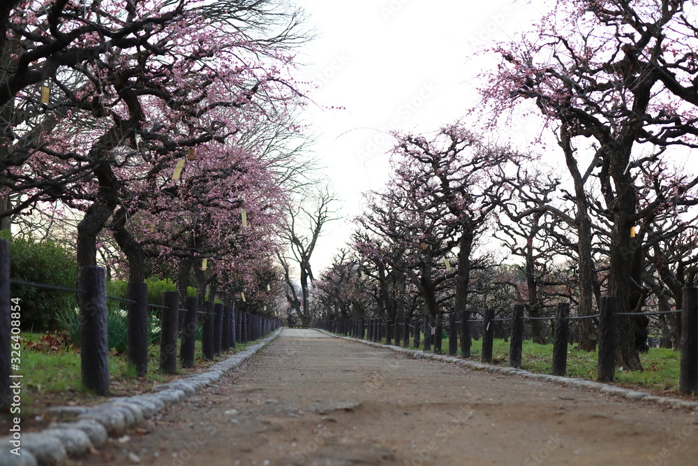 Naklejka premium 大阪城公園 大阪 日本