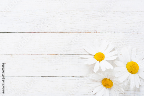 Chamomiles on white wooden background