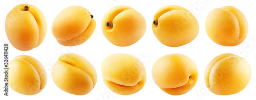 Collection of apricot or yellow plum fruits isolated on white background with clipping path. Full depth of field.