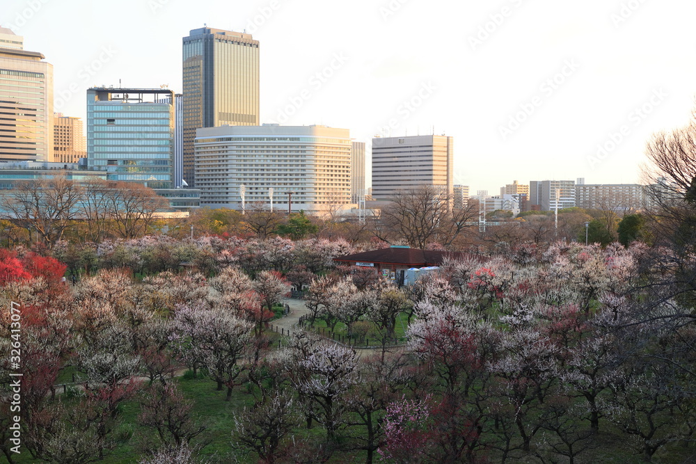 大阪城公園 大阪 日本 大阪城公園 大阪 日本