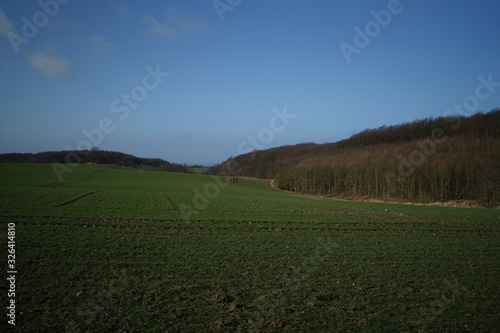 Green grass field on small hills and blue sky with clouds