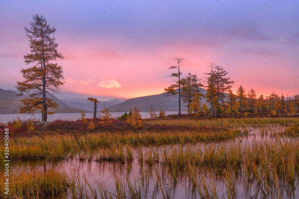 Fototapeta premium Pink autumn dawn on the lake, Jack London lake, Kolyma, Magadan region, Russia
