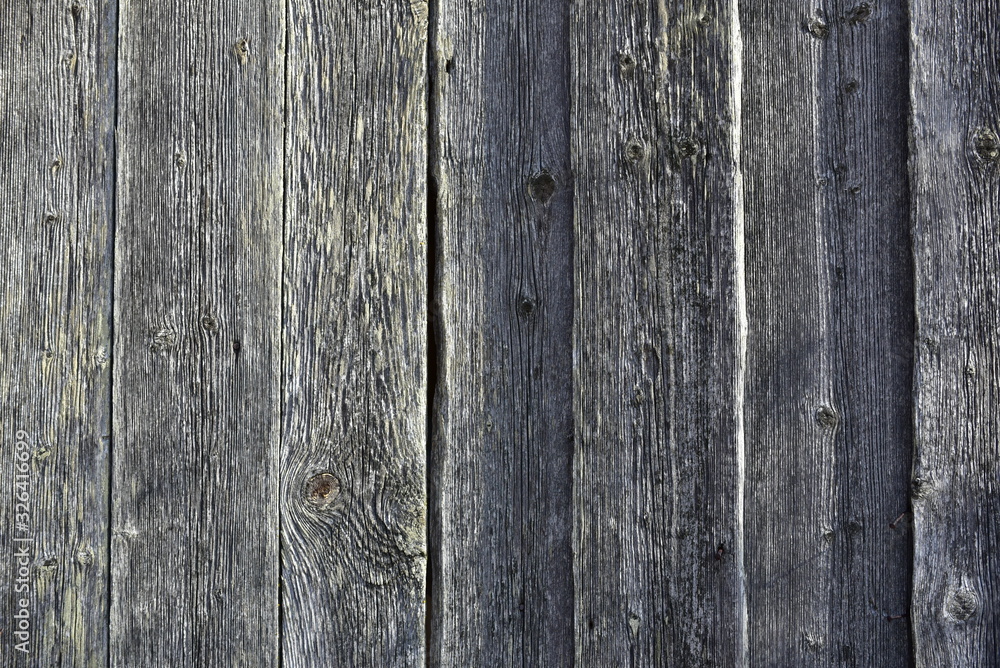Wood texture background coming from natural tree. Wooden panel with beautiful patterns. Wood texture background coming from natural tree. Wooden panel with beautiful patterns.