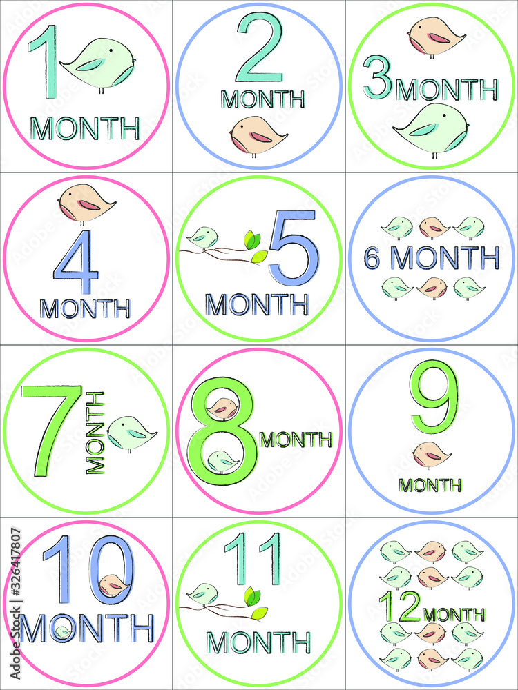 Set of Stickers for 12 months. Monthly Stickers.Baby Of The Month Stickers Baby Of The Month Milestone Baby Of The Month Stickers
