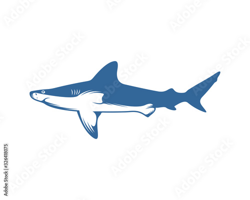 Shark logo vector design template  Silhouette Shark logo  Illustration