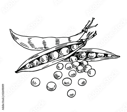 Pease set in line art style.