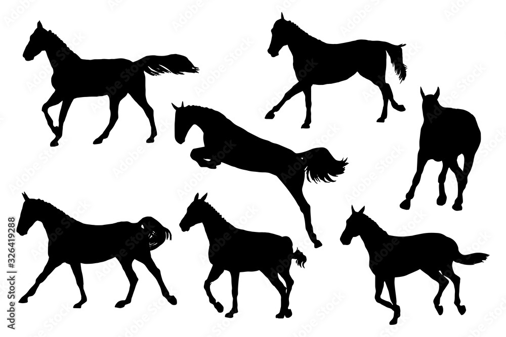 Race horses silhouettes. Clip art set on white background