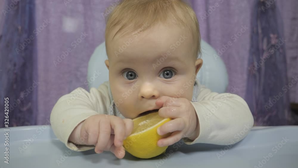 A small boy tastes the lemon. Beautiful baby with blue eyes sitting in the child seat and holding a lemon. Child with blond hair tries to eat a sour lemon A small boy tastes the lemon. Beautiful baby with blue eyes sitting in the child seat and holding a lemon. Child with blond hair tries to eat a sour lemon