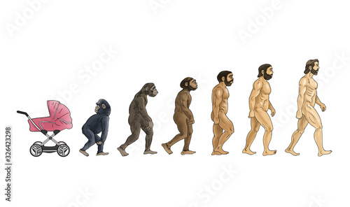 Fotografie cartoon theory of evolution  white background