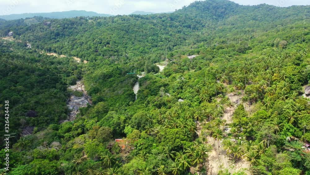 Green vegetation and palm trees forest into jungle of tropical island with peaceful landscape on slope of hills in Thailand Green vegetation and palm trees forest into jungle of tropical island with peaceful landscape on slope of hills in Thailand