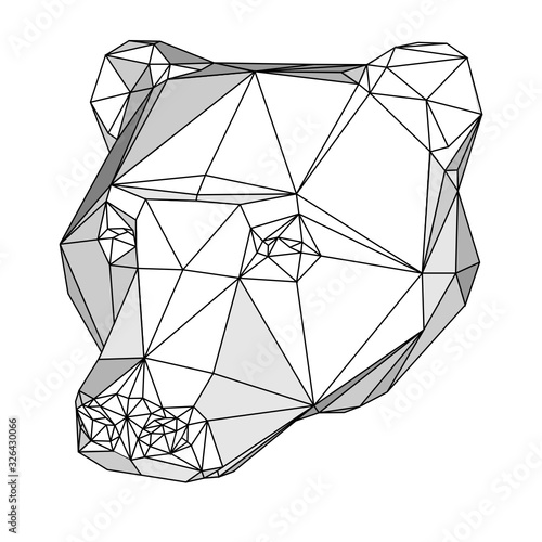 bear