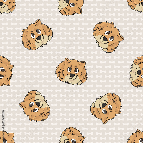 Hand drawn cute pomeranian breed dog face seamless vector pattern. Purebred pedigree domestic dog on paw background. Dog lover spitz pet all over print. Kennel pooch. EPS 10. 