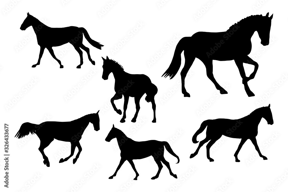 Race horses silhouettes. Clip art set on white background black and white