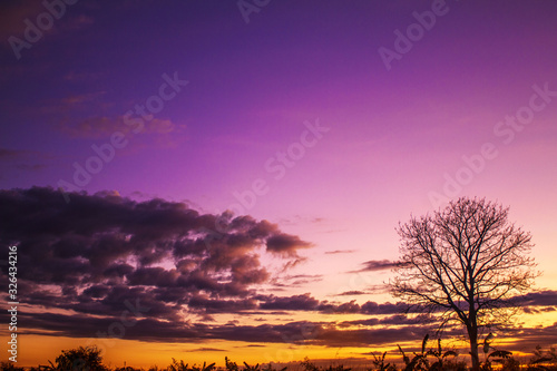 Fototapeta Naklejka Na Ścianę i Meble -  sunset in forest