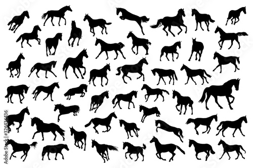 Naklejka Adult race horses silhouettes big set. Basis clip art on white background