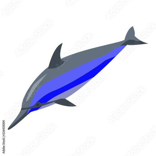 Dolphin jump icon. Isometric of dolphin jump vector icon for web design isolated on white background