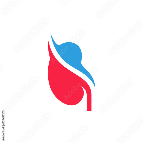 Kidney Logo Design Inspiration Template vector