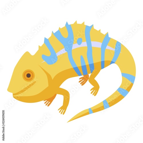 Yellow blue chameleon icon. Isometric of yellow blue chameleon vector icon for web design isolated on white background